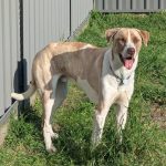 2ef5b0c5-ffac-4134-af19-5d8469d9ea33