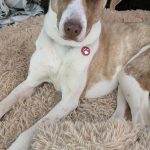 b26c1bb8-1bc2-4e5c-82f6-4e75a4d9a26e