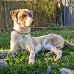 c6df205d-3047-4c2c-9d09-8f7c07e10dec