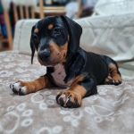 att.PDkMT7lLjwbYvJVu6NRWiFmslFNZulVNHmtJuGMEP_k