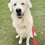 att.hOHxHPuazlHJ-936fJH7-BJTqJ0UZukN-skgkj43ZaE