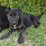 att.rUxy5F6ZVarDCWjPe3vCPCIjx3tFnfQQHjcH6pJoQDE