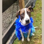 t6mrzzb96coftncyggch