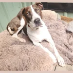 w3larpikphhrippqn0uy